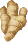 Ginger