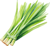 Lemon-Grass